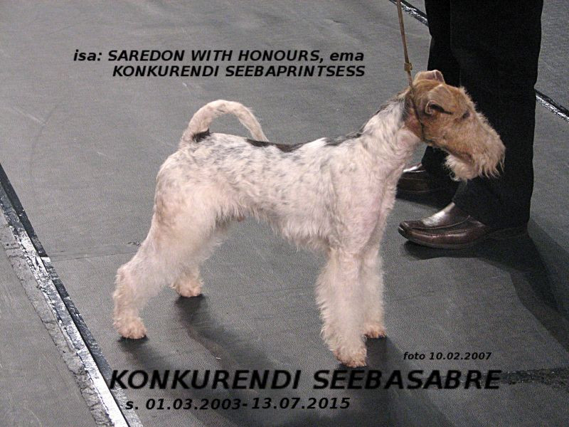 Seebasabre
